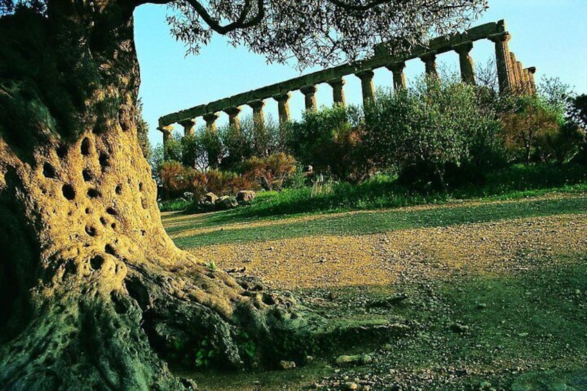 Valley of the Temples