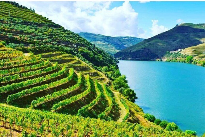 Douro Valley with 3 Different Wineries with Boat Cruise and Lunch (Small Group)