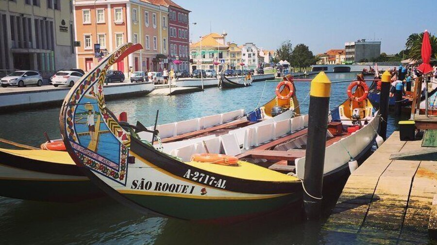 Moliceiro Boat