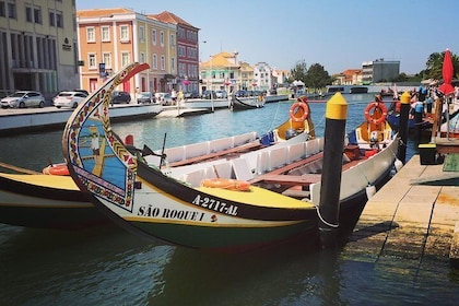 Private Cultural Tour Aveiro and Coimbra from Porto