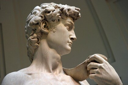 Private Michelangelo's David Tour