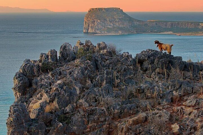 Chania Luxury Jeep Safaris: Balos Beach. A Lagoon For Bliss.