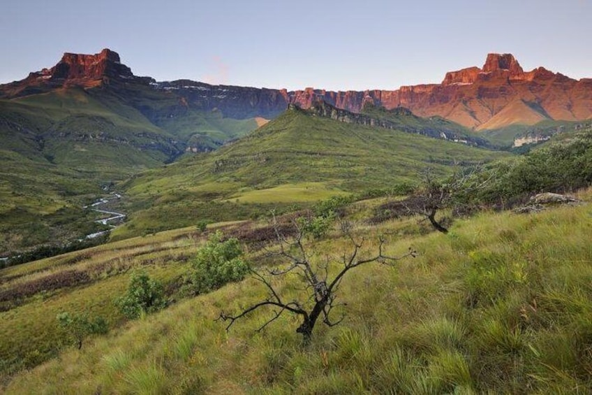 Drakensberg Mountain Range and Nelson Mandela Capture Site Day Tour from Durban