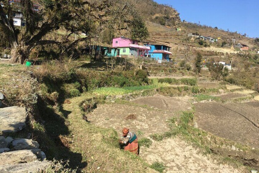 Nepali Village & Mountain Hiking From Pokhara