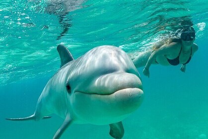 Snorkel Eco Tour
