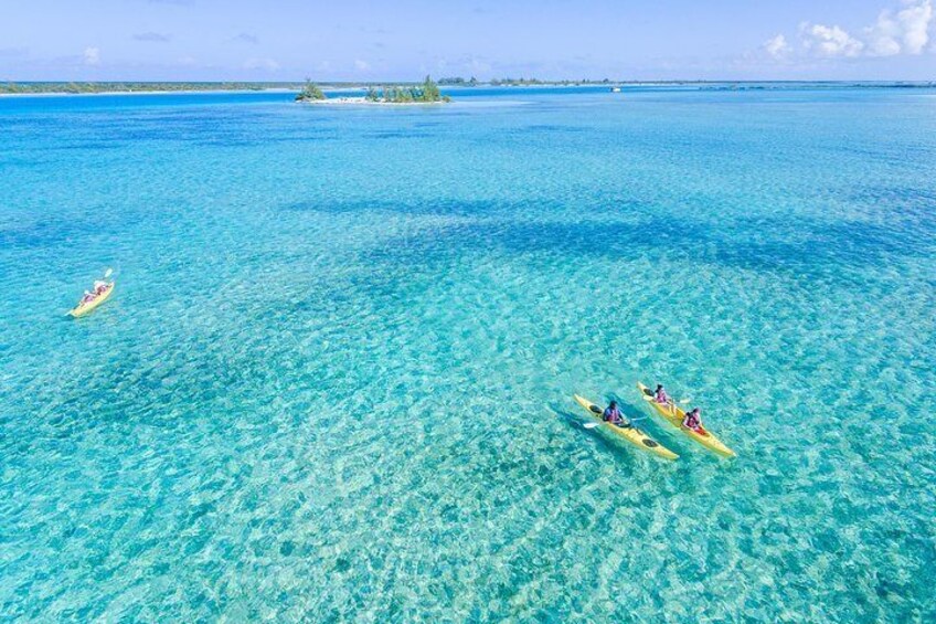 Kayak Eco Tour