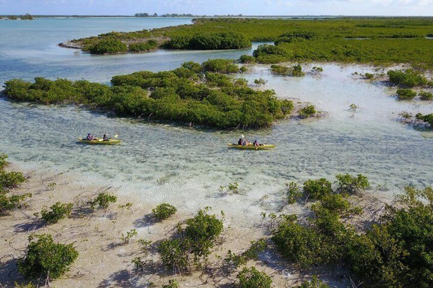 Kayak Eco Tour