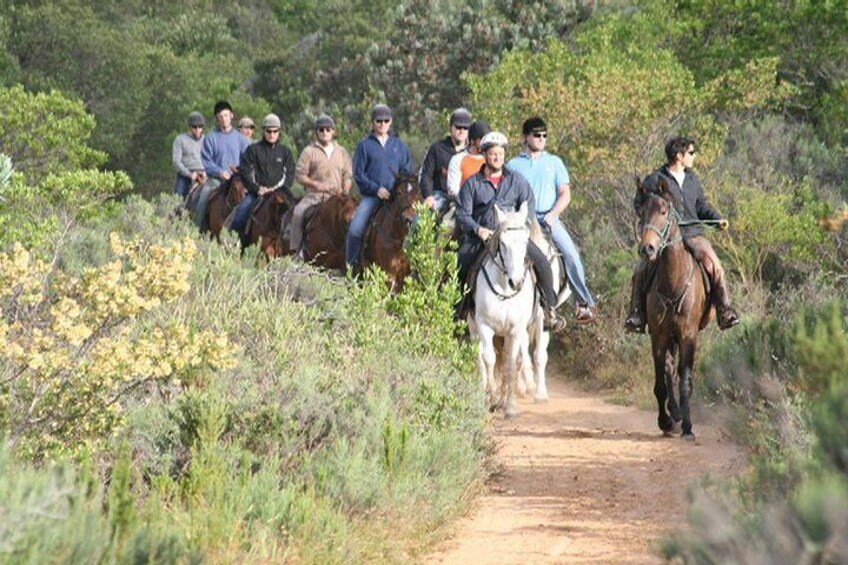 Full Day Wine Tasting Horse Trail