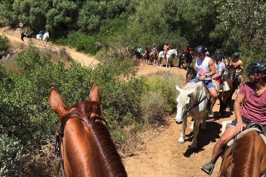 Full Day Wine Tasting Horse Trail