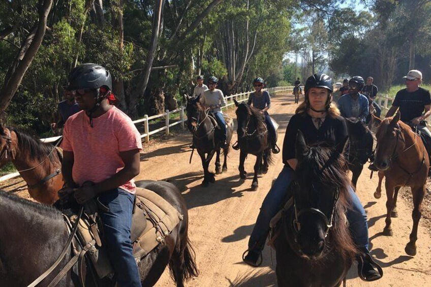 Full Day Wine Tasting Horse Trail