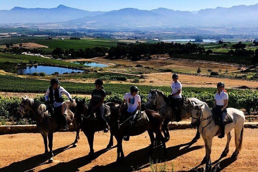 Full Day Wine Tasting Horse Trail