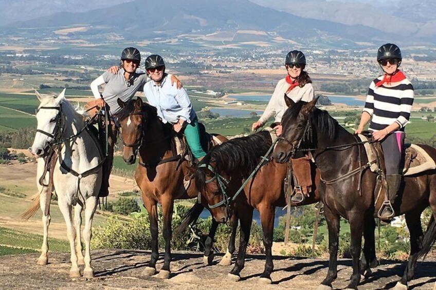 Full Day Wine Tasting Horse Trail
