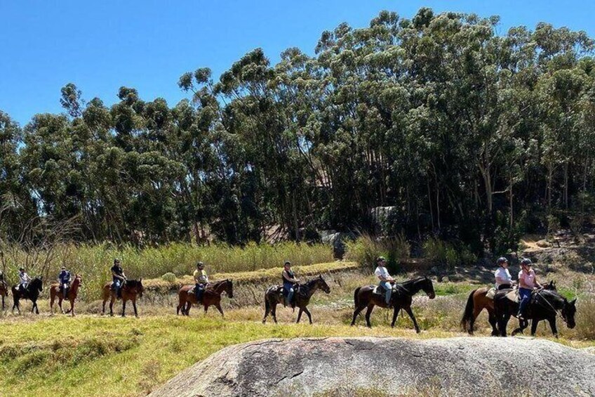 1 Hour Horse Trail