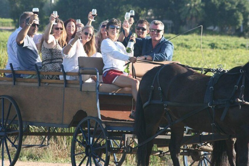 1.5 Hour WINE TASTING Carriage Trail