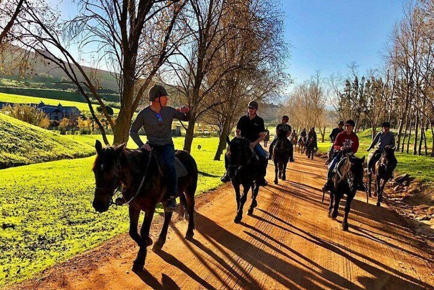 Half Day Wine Tasting Horse Trail