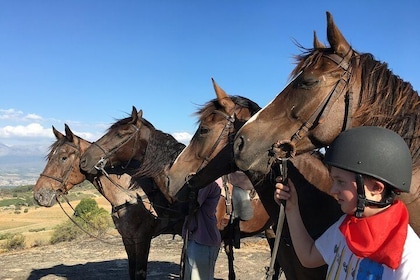 Half Day – Wine Tasting Horse Trail