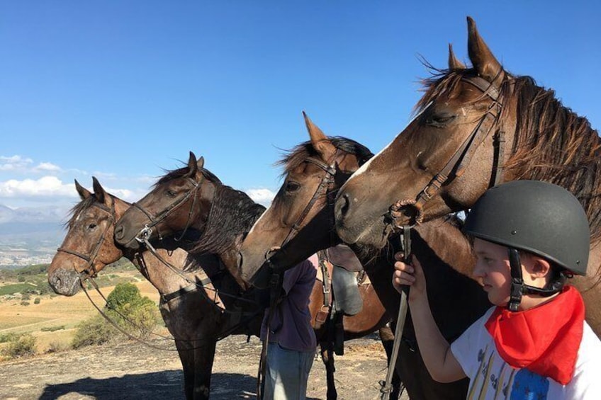 Half Day – Wine Tasting Horse Trail