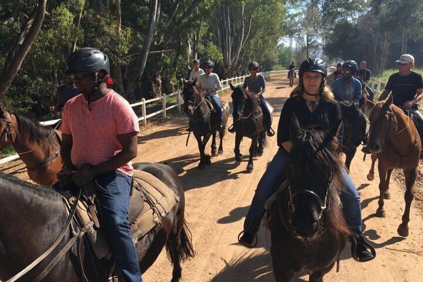 Half Day Wine Tasting Horse Trail