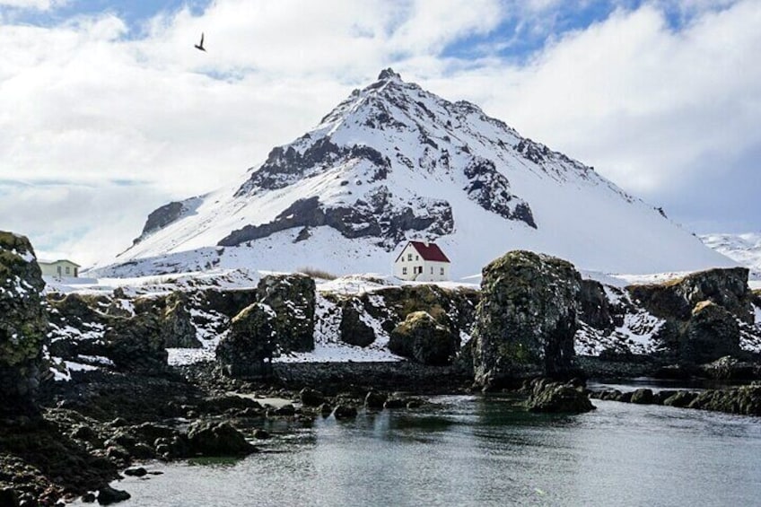 Private Snæfellsnes Peninsula and local Lunch 