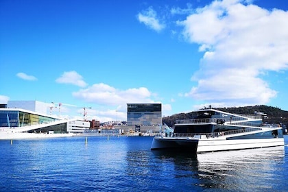 Combinatietour door Oslo: Grand Tour door de stad en cruise in Oslofjord