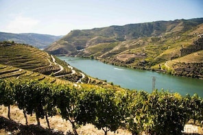 Porto and Douro Valley
