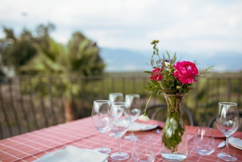 Etna Countryside Food and Wine Lovers Tour (Private or Small Group)