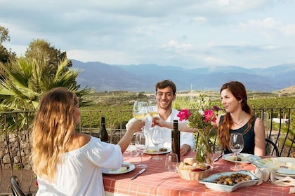 Etna Countryside Food and Wine Lovers Tour (liten grupp)