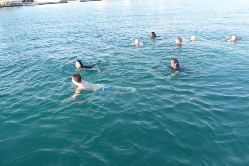 Dolphin Islands Boat Trip with Hotel Transfers