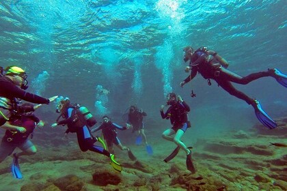 Scuba Diving Experience from Side