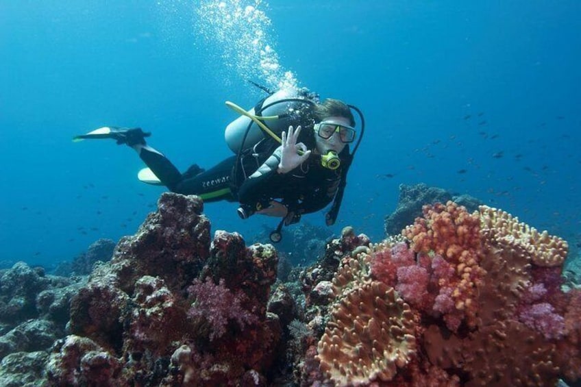 Scuba diving from Marmaris