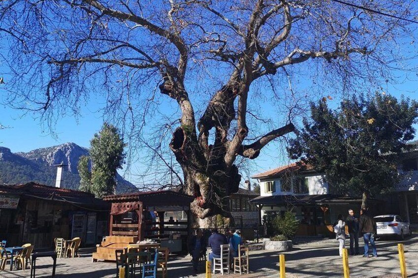Bayir, Turgut and Orhaniye Village Day Trip from Marmaris