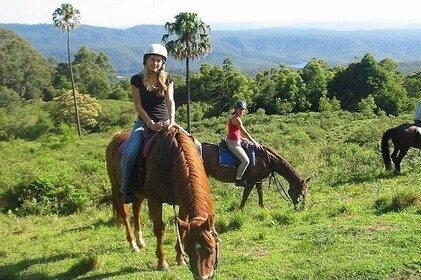 Horse Riding in the Forest from Kusadasi