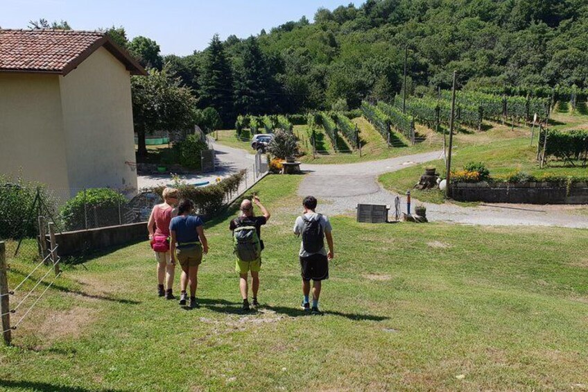 Lake Como: Adventure day in Spina Verde Regional Park