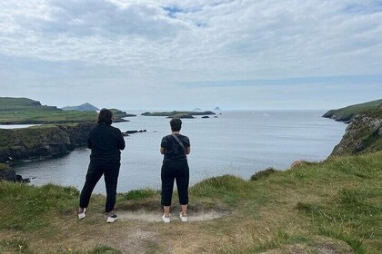 Anillo de Kerry y Skellig - Tour privado en minibús