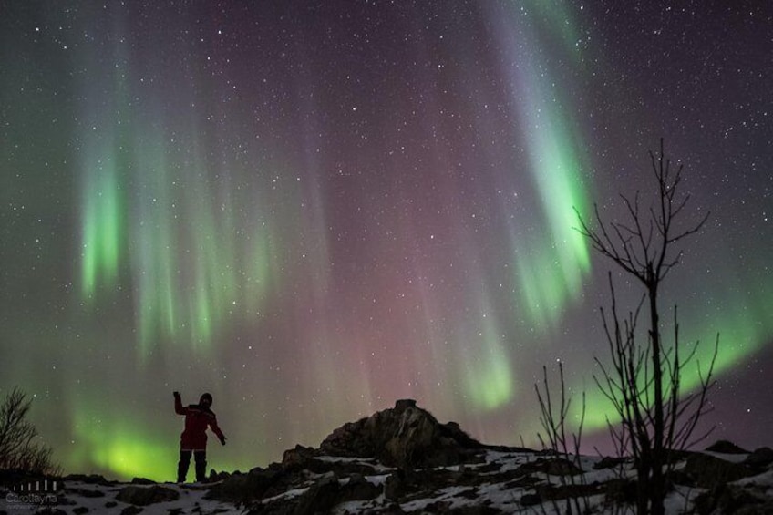 Northern Lights tour - All inclusive - Northern Horizon