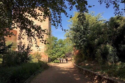 Sabika Hill: Cultural hike around the Alhambra