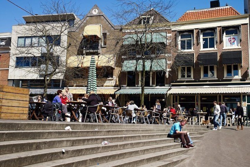 Private Tour: The Hague Walking Tour Including Peace Palace Visitors Center