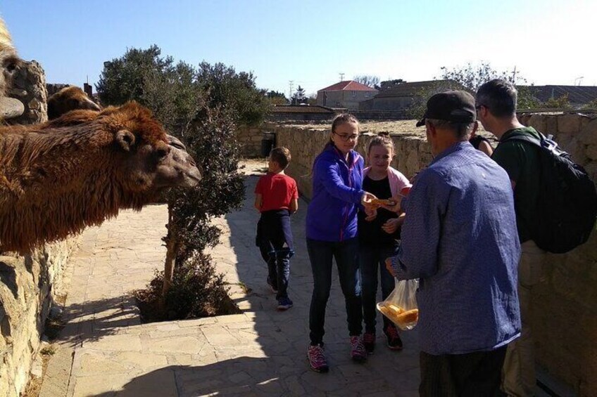 Gobustan & Mud Volcanoes, Fire Temple, Burning Mountain (by TES Tour)