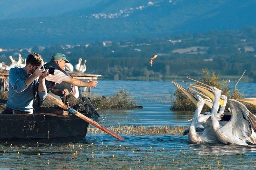 From Thessaloniki: Day Trip to Kerkini Lake