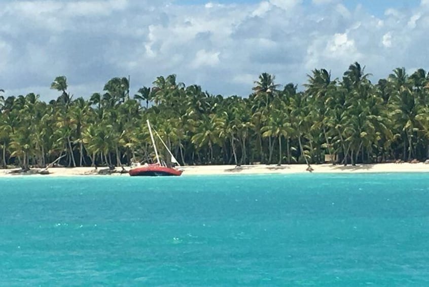 Saona Island Sailing Tour with Private Transportation from Punta Cana.