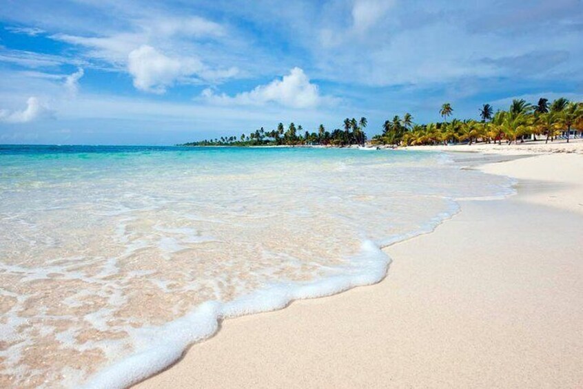 Saona Island Beach