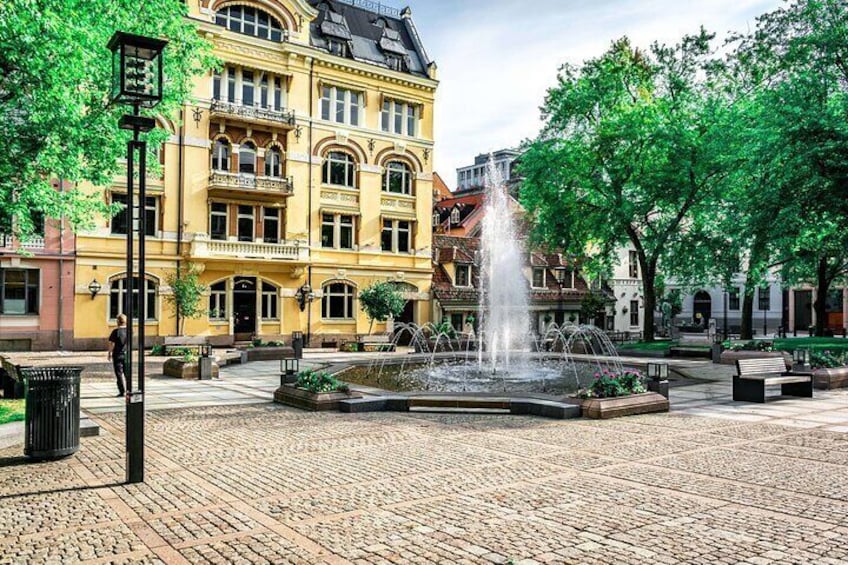 Oslo Highlights Private Walking Tour