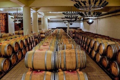 Winery Day Trip from Costa Navarino with Food and Wine Tastings