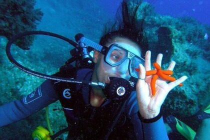 Rhodes Scuba Diving Experience