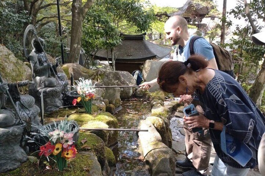 Miyajima Half-day Trip Historical Walking Tour