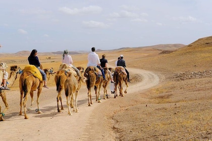 Marrakesh Day Trip From Casablanca With Camel Ride And Lunch At Agafay Dese...