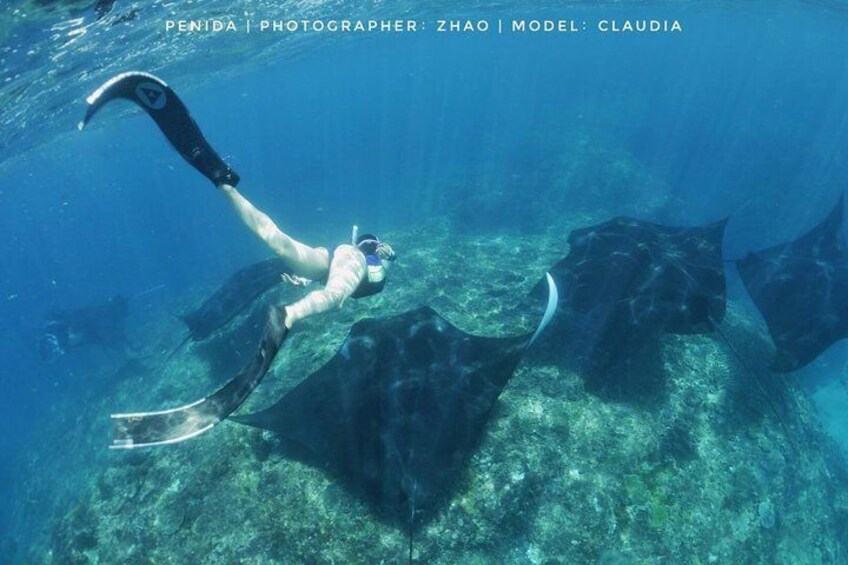 Snorkeling with the Mantas in Nusa Penida