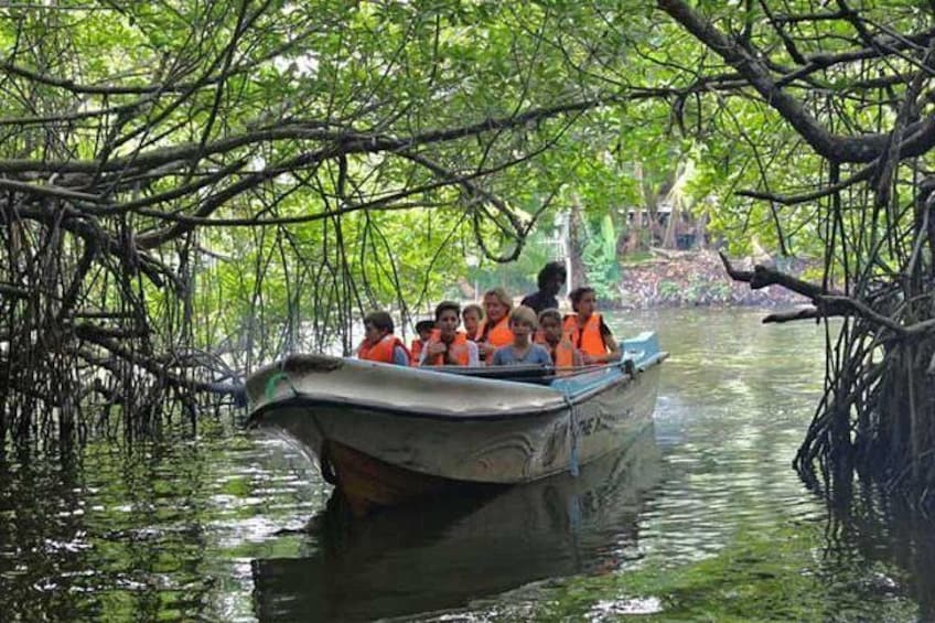 Madu River boat Safari