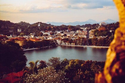 Day Tour to Kandy From Colombo
