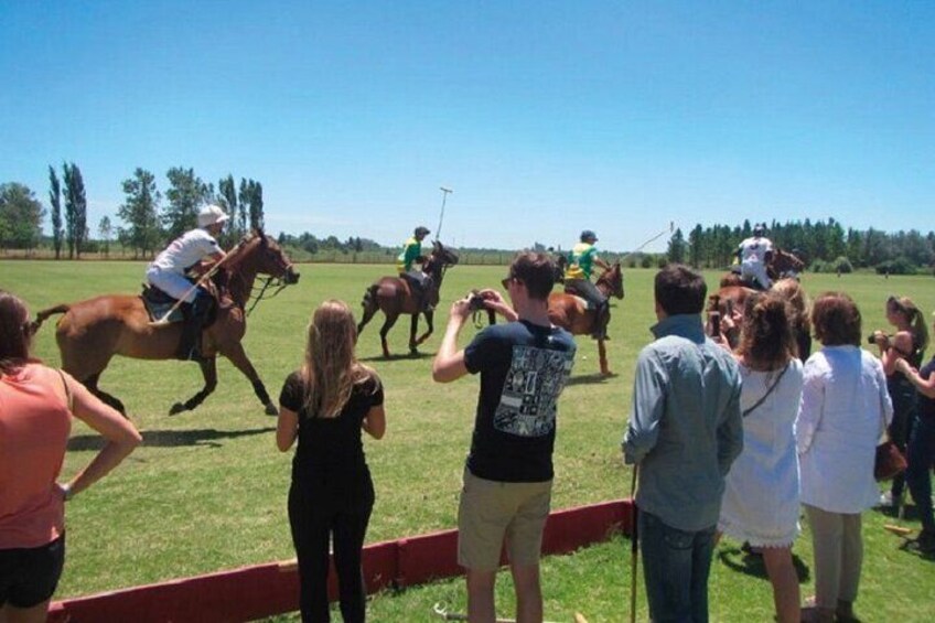Polo Match, BBQ and Lesson Day-Trip from Buenos Aires